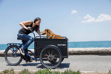 Load image into Gallery viewer, Black Bimas electric cargo trike ridden along a seaside path, carrying a large brown dog seated comfortably in the front box.