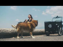 Load and play video in Gallery viewer, A YouTube video of the Bimas 3.3 Premium Cargo Bike.