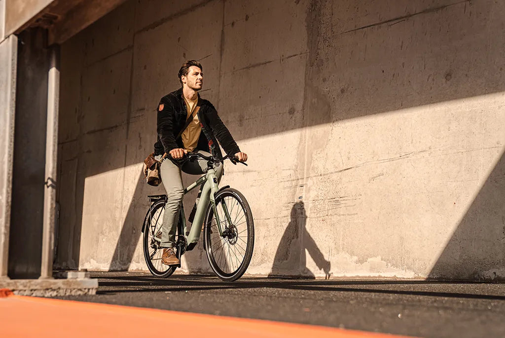 Raleigh Motus Hub Gear Electric Bike