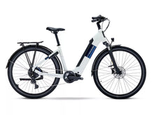 Load image into Gallery viewer, Raleigh Motus Der electric bike with black details on a white background

