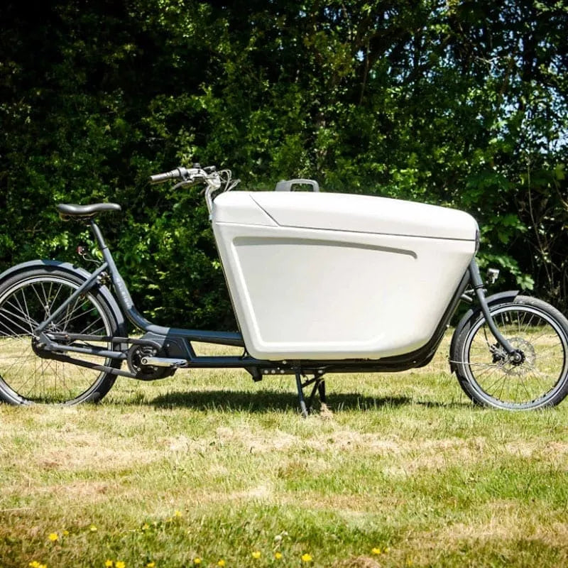 Raleigh Pro eCargo Bike