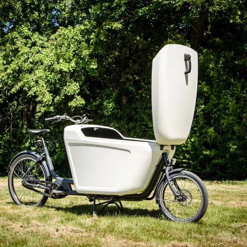 Raleigh Pro eCargo Bike