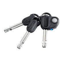 Load image into Gallery viewer, Set of keys with a keychain on a white background.
