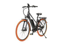 Load image into Gallery viewer, E-bike rental

